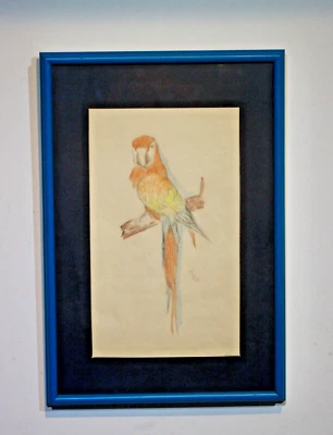 dibujo a lápiz color original enmarcado guacamayo firmado vintage Foto 1 de 4