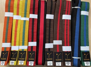 COLOURED BELTS with COLOURED STRIPE Karate, Kickboxing, MMA, Taekwondo - Picture 1 of 9