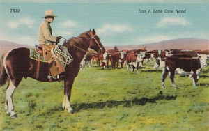 RIO GRANDE VALLEY COWBOY ON HORSE JUST LONE COWHAND LINEN POSTCARD 040325 U - Picture 1 of 2