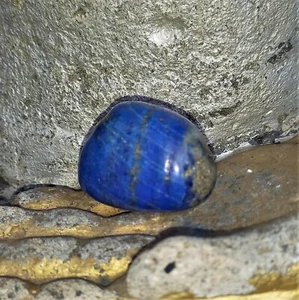 Lapislázuli Azul Rey con Pirita Nº67 Riqueza Lapislázuli 34 gramos Confianza Zen - Imagen 1 de 4
