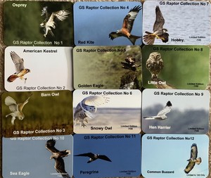 None RSPB Badges GS Collection 12 Raptor Collection With Backing Cards