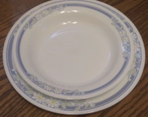 Corelle JASMINE un plato de cena 10,25" y un tazón de sopa con borde 8,5" F5 - Imagen 1 de 2
