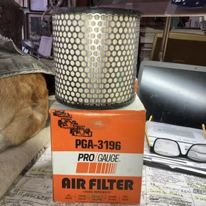 GM . Turbo . NOS Air Filters . PRO/GAUGE PGA-3196. Wix Cross 42143. New In Box . - Bild 1 von 4