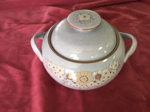Denby Stoneware REFLECTIONS Lidded Vegetable / Casserole Dish - Picture 1 of 6