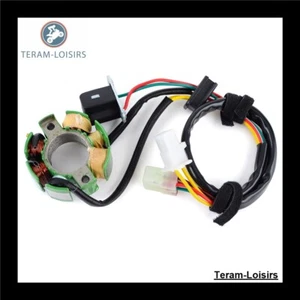Stator Allumage pour Husqvarna SM 400 R de 2006 2007 - Photo 1/8