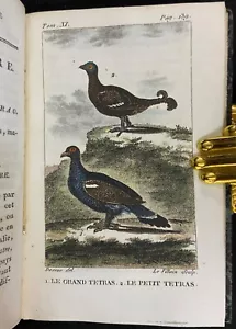 Antique 1799 BUFFON Natural History 3 HAND COLORED ORNITHOLOGY PLATES Bird Book - Picture 1 of 9