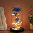 Preserved Flower Rose LED Lights Glass Dome Wooden Base Lamp