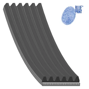 Cinturón auxiliar BLUE PRINT - AD06R1555 1340019 - Imagen 1 de 3