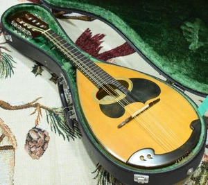 [New strings replaced] Suzuki Mandolin M-30 [Hard case included] - Picture 1 of 12