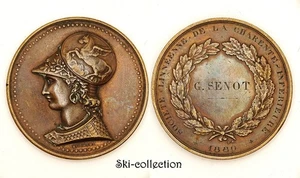Medaglia Della Società Linneana Della Charente-Inférieure, 1880. Francia. Bronzo - Bild 1 von 2