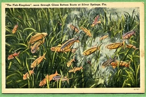 Postal #086 - The Fish Kingdom - Silver Springs, Florida - Imagen 1 de 2