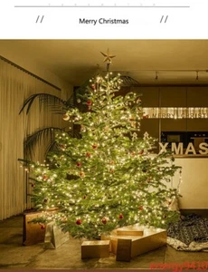 Christmas Decorative Light 24V Waterproof Super Bright 1m with 10 LED Lights - Picture 1 of 13