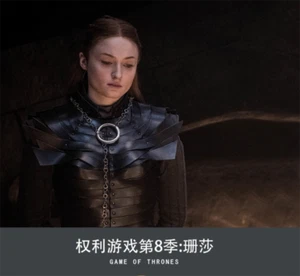 Game of Thrones 8 Sansa Stark Set Costume Suit Fancy Dress Cloak Outfits Cosplay - Picture 1 of 17