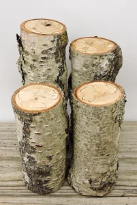 4 trozos de troncos de madera de abedul blanco plateado artesanías borde vivo dividido 2"D 4~6"L - Imagen 1 de 15
