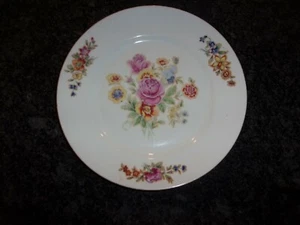 ZCECHOSLOVAKIA DINNERWARE - PLATE -FLORAL DESIGN - CENTER ROSE/ FLOWERS - 9.3/4" - Bild 1 von 6