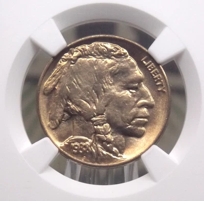 1938 "D/D" Indian Head BUFFALO Nickel 5c NGC MS66 #055 Gem BU Unc ECC&C, Inc. - Image 1 of 4