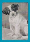 Beautiful Single Black + White Terrier Dog  No 1 - Modern Wide Swap Playing Card