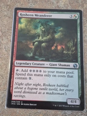Rosheen Meanderer Shadowmoor MTG MP - Image 1 of 2