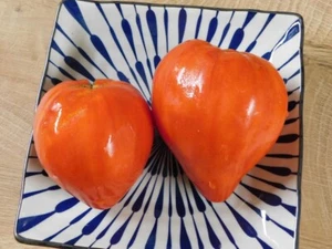 TOMATE CORAZÓN DE BUEY RUSO - CORAZÓN DEL DESIERTO - Serdtse Pustiny 5+ semil... - Imagen 1 de 1