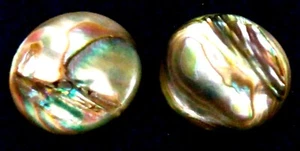 Silver Tone New Zealand Paua Abalone Shell 17mm Round Clip-On Earrings in Box*** - Picture 1 of 12