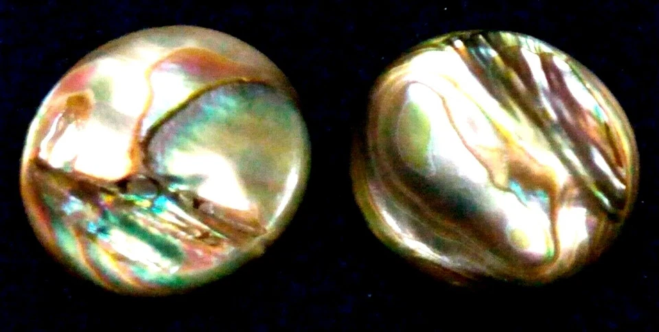 Silver Tone New Zealand Paua Abalone Shell 17mm Round Clip-On Earrings in Box*** - Image 1 of 4