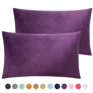Zippered Velvet Queen King Luxury Pillowcases Ultra Soft Cozy Pillow Case 2Pcs - Picture 1 of 72
