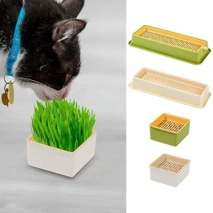 Soilless Organic Cat Grass Growing Kit Layered Hydroponics Cat Grass Planter - Picture 1 of 15