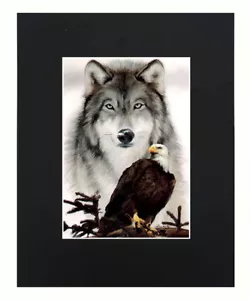 Eagle & Wolf 8x10 matted Art Print Printed Poster Decor picture Gift Display - Picture 1 of 7