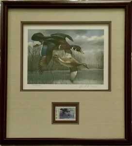 1984 Texas Waterfowl Duck Stamp Print by David Maass Matted And Framed - Picture 1 of 8