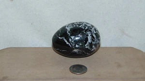 BLACK AND WHITE POLISHED MARBLE EGG - Picture 1 of 7