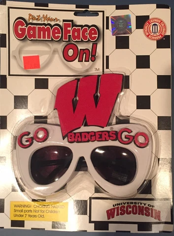 Game day team spirit Sunglasses(Wisconsin Badgers) Cover