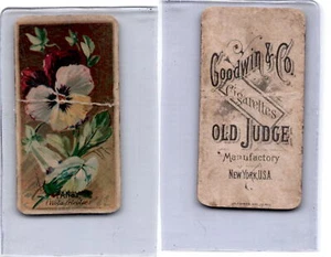 N164 Goodwin Cigarettes, Flowers, 1890, Pansy - Picture 1 of 1