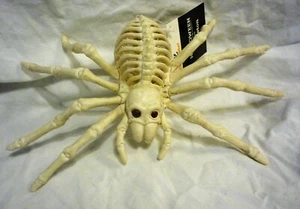 Spider Skeleton For Halloween - Picture 1 of 5