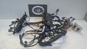 RANGE ROVER L322 4.4 V8 INJECTOR RAIL AND INJECTION ENGINE LOOM MJY000040 - Picture 1 of 6