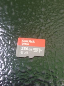 256GB Sandisk Ultra MicroSD Karte funktioniert mit Nintendo Switch! - Bild 1 von 2