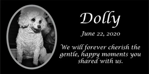 Personalized Pet Stone Memorial Grave Marker Granite Plaque Animal Human dog - Picture 1 of 20