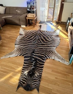 Echtes XXL Steppenzebra Fell aus Teilökologischer Familienproduktion - Bild 1 von 5