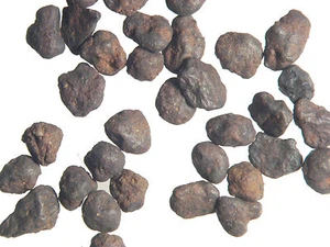 Canyon Diablo Eisenmeteorit Sphäroiden gesammelt von Nininger 50er Jahre Museum - Bild 1 von 2