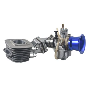 Dio Reed Valve Kit&Cylinder&Carburetor For 66cc 80cc 2 Engine Motorized Bike - Picture 1 of 5