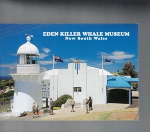 UNUSED VINTAGE POSTCARD ,EDEN KILLER WHALE MUSEUM , NSW - Picture 1 of 1