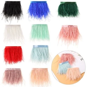 Dress 1 Meter Long Plumes Ribbon Selvage 8-10 CM Wide Ostrich Feathers Trim - Picture 1 of 22