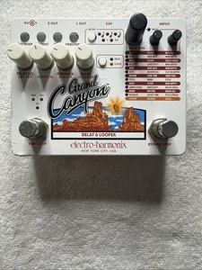Electro-Harmonix Grand Canyon Delay and Looper Effects Pedal - Picture 1 of 7