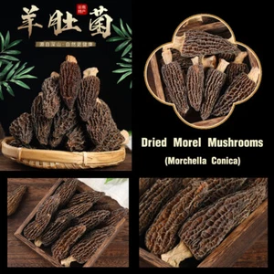 Dried Morel Mushrooms 16oz Grade AAA (Morchella Conica) 羊肚菌 1磅装 Yang Du Jun 美国现货 - Picture 1 of 6