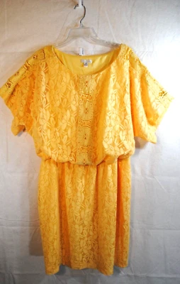 London Times желтый кружева платье с подкладкой эластичный пояс размер 16 - Изображение 1 из 4