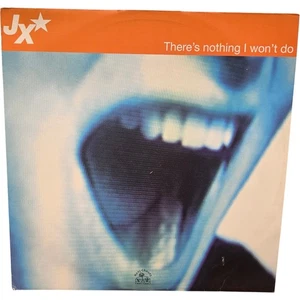 JX There's Nothing I Won't Do 1996 Vinyl Record Hooj Choons Dance Remix - Picture 1 of 10