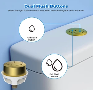 Gebürstetes Gold DUAL Spülkasten WC Drucktaste von Hibbent - Bild 1 von 7