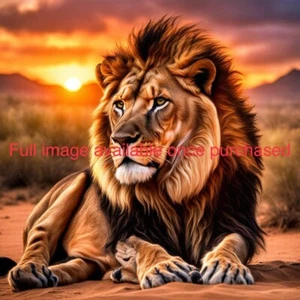 Lion King Sunset | High Resolution Digital Wall Art Print | Download - Picture 1 of 1