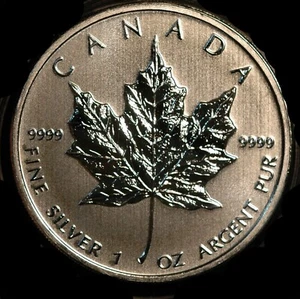 Canada Five Dollars $5 2011 foglia d'acero .999 argento 31 g (T2) - Foto 1 di 3