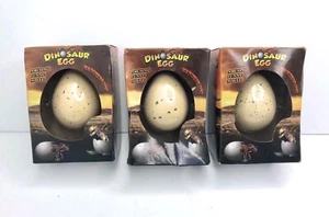 Dinosaur Eggs Growing Pet Hatch 12/Piece Egg Kids Novelty Toy Lot 3 - Picture 1 of 5