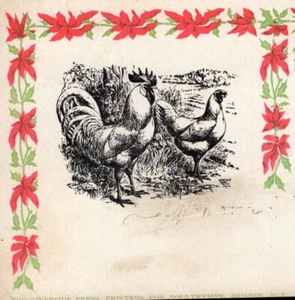 POULTRY FOWL Breeder Postcard Dealer Note: Ducks Shipped Bliss NY 1914 9b - Picture 1 of 3